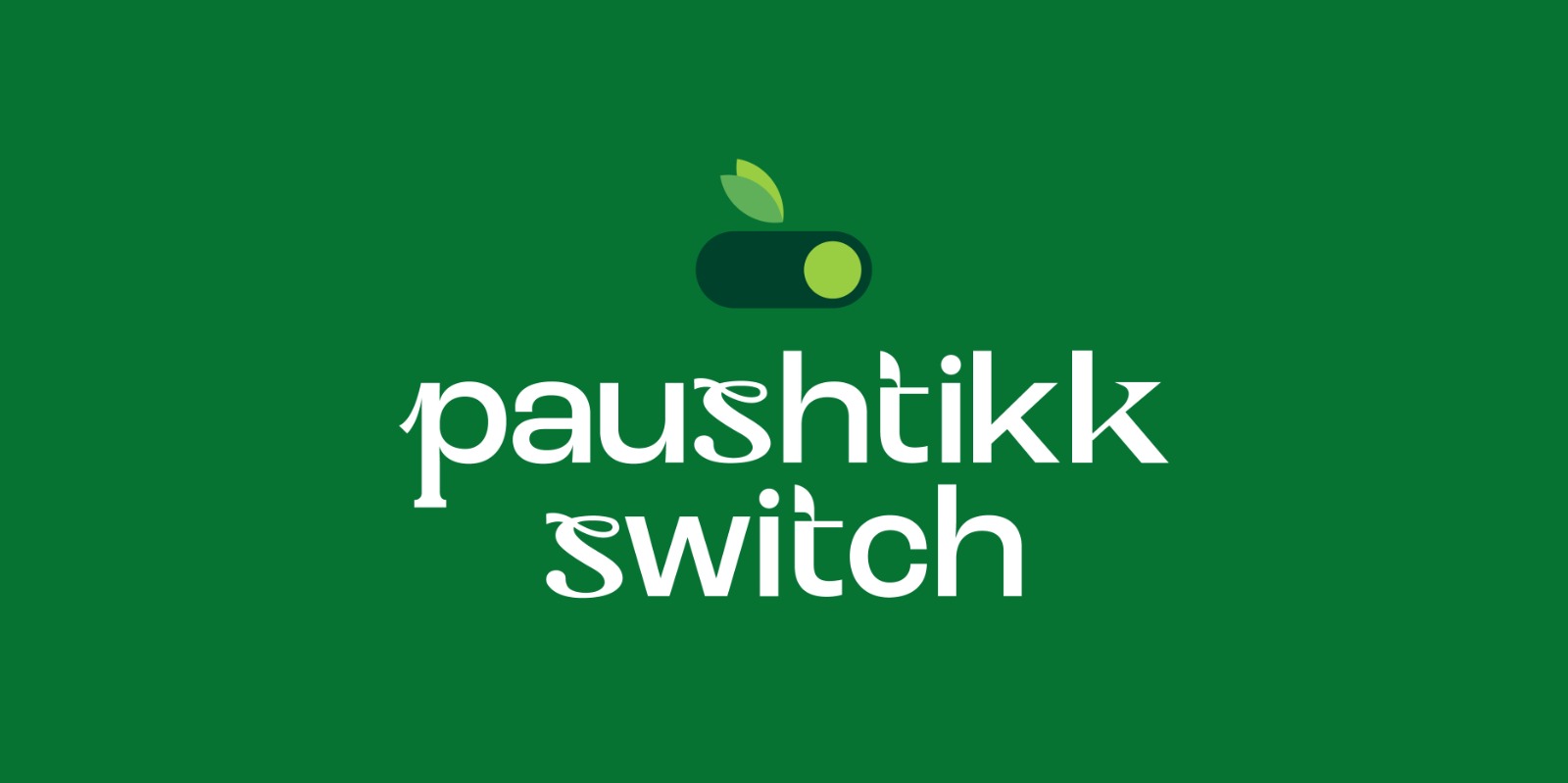 Paushtikk Switch brand visuals - Image 1